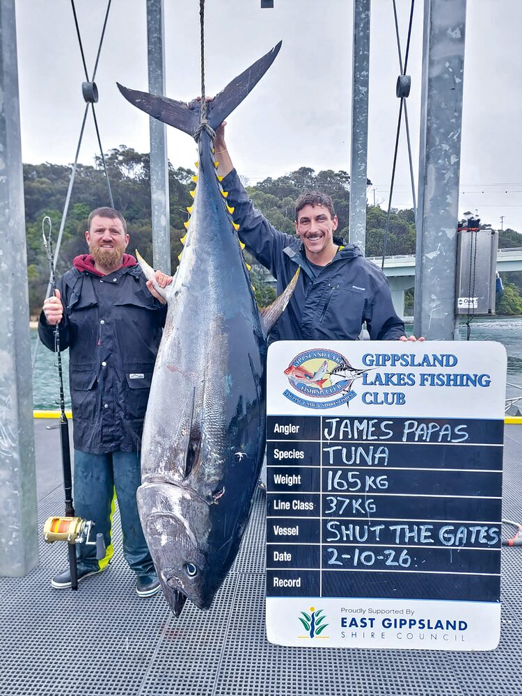 Tuna run sparks excitement